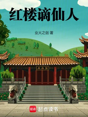 《红楼谪仙人》小说封面