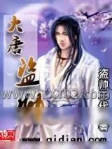 《大唐盗帅》小说封面