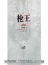 《枪王》小说封面