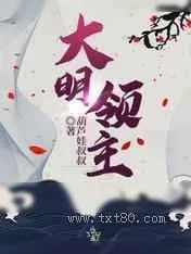 《大明领主》小说封面