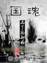 《国魂》小说封面
