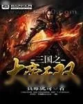 《三国之大帝无双》小说封面