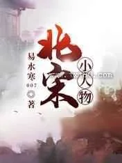 《北宋小人物》小说封面