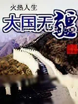 《大国无疆》小说封面