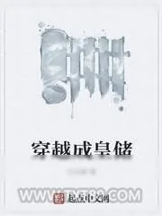 《穿越成皇储》小说封面