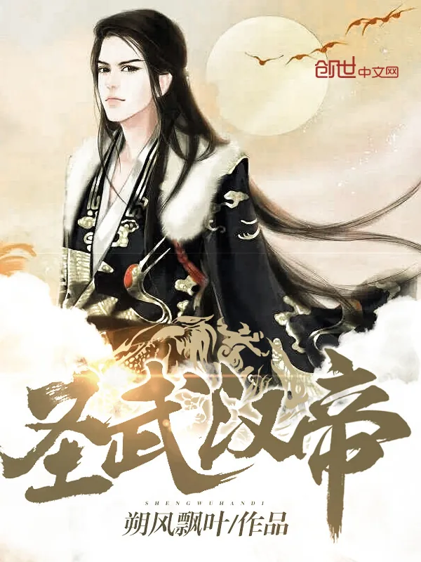 《圣武汉帝》小说封面