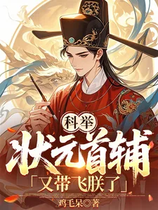 《科举：状元首辅又带飞朕了》小说封面