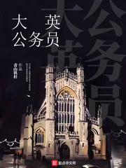 《大英公务员》小说封面