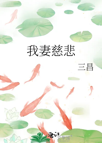 《我妻慈悲》小说封面