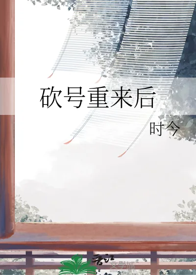 《砍号重来后》小说封面
