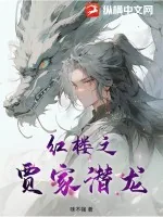 《红楼之贾家潜龙》小说封面