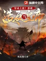 《穿成土匪？那就造反当皇帝！》小说封面