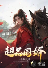 《超品国婿》小说封面