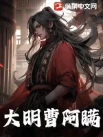《大明曹阿瞒》小说封面