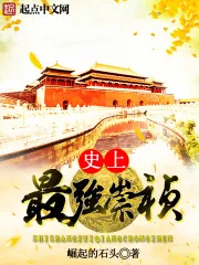 《史上最强崇祯》小说封面