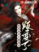 《听说童养夫他领兵叛变了》小说封面