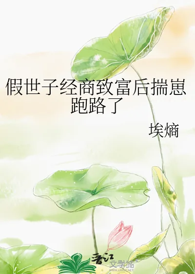 《假世子经商致富后揣崽跑路了》小说封面