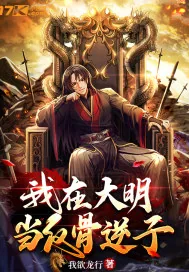 《我在大明当反骨逆子》小说封面