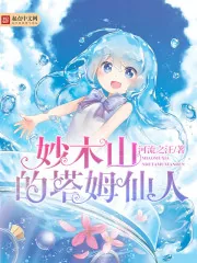 《妙木山的塔姆仙人》小说封面
