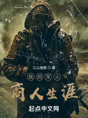 《我的军火商人生涯》小说封面