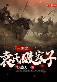 《三国之袁氏败家子》小说封面