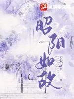 《昭阳如故》小说封面