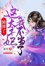 《摊牌了!这太子妃我不当了》小说封面