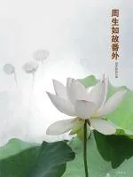 《周生如故番外》小说封面