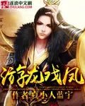《游龙戏凤》小说封面