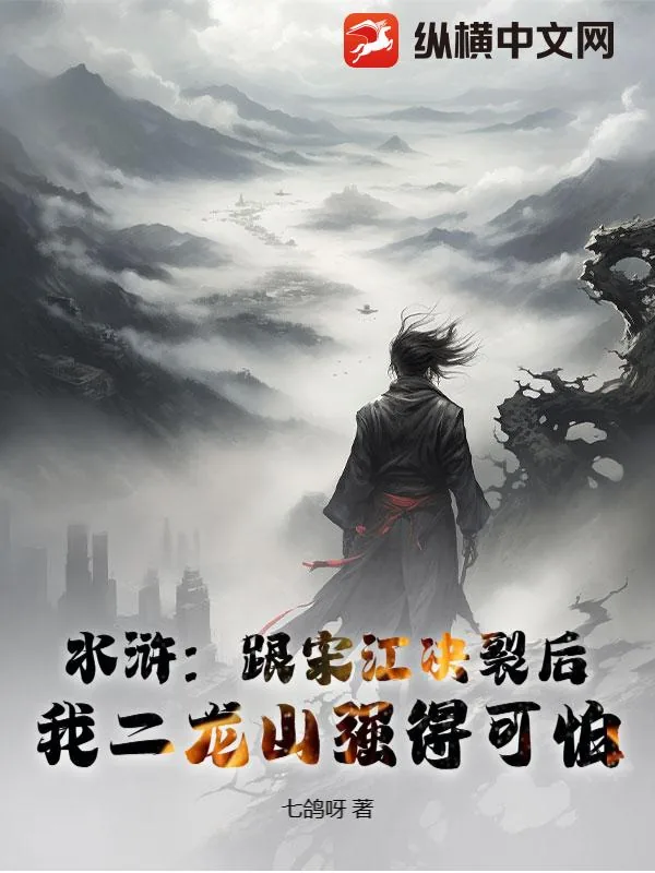 《水浒：跟宋江决裂后，我二龙山强得可怕》小说封面