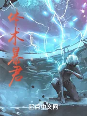 《体术暴君》小说封面