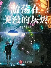 《游荡在美漫的灰烬》小说封面