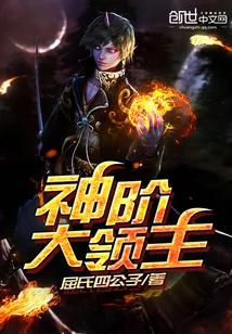 《神阶大领主》小说封面