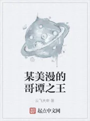 《某美漫的哥谭之王》小说封面