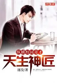 《天生神匠》小说封面