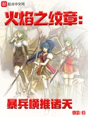 《火焰之纹章：暴兵横推诸天》小说封面