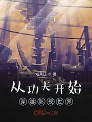 《从功夫开始穿越影视世界》小说封面