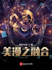 《美漫之融合》小说封面