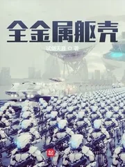 《全金属躯壳》小说封面