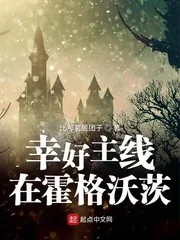 《幸好主线在霍格沃茨》小说封面