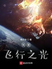 《我是飞行之光》小说封面
