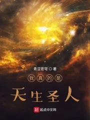《我真的是天生圣人》小说封面