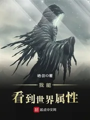 《我能看到世界属性》小说封面