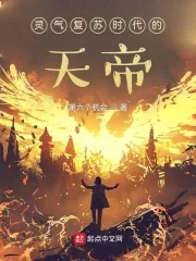 《灵气复苏时代的天帝》小说封面