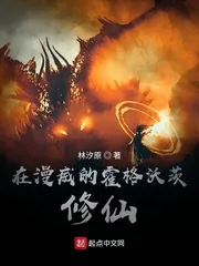 《在漫威的霍格沃茨修仙》小说封面