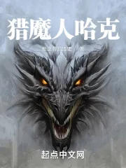 《猎魔人哈克》小说封面
