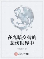 《在光暗交替的悲伤世界中》小说封面