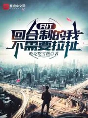 《只打回合制的我不需要拉扯》小说封面