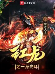 《红龙之一身光环》小说封面
