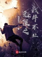 《无限之战斗不止》小说封面